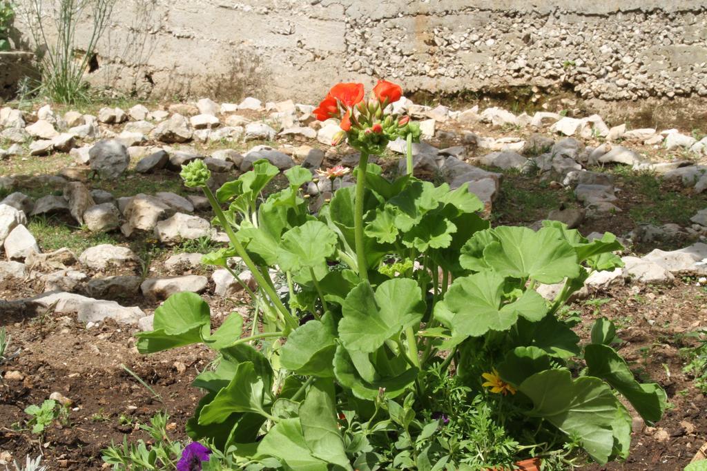 Barone 4 You Šibenik Dış mekan fotoğraf